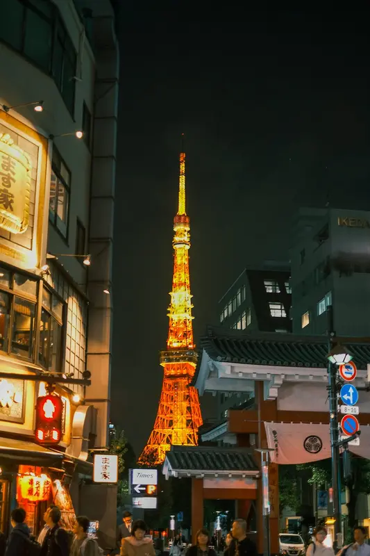 Madison.Tokyo Premium Domain